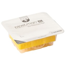 F172513 - GILSON - DIAMOND, BLISTER DSF200ST, 960 PUNTALI