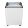 EFE 1552 - LIEBHERR - Congelatore orizzontale per gelati