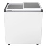 EFE 2200 - LIEBHERR - Congelatore orizzontale per gelati