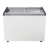 EFE 3002 - LIEBHERR - Congelatore orizzontale per gelati