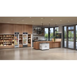 EFE 3002 - LIEBHERR - Congelatore orizzontale per gelati