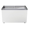 EFE 3802 - LIEBHERR - Congelatore orizzontale per gelati