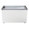 EFE 3852 - LIEBHERR - Congelatore orizzontale per gelati