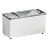 EFE 4602 - LIEBHERR - Congelatore orizzontale per gelati
