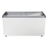 EFE 4602 - LIEBHERR - Congelatore orizzontale per gelati