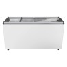 EFE 5102 - LIEBHERR - Congelatore orizzontale per gelati