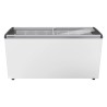 EFE 5102 - LIEBHERR - Congelatore orizzontale per gelati