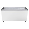 EFE 5152 - LIEBHERR - Congelatore orizzontale per gelati