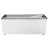 EFE 6002 - LIEBHERR - Congelatore orizzontale per gelati
