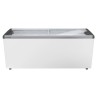 EFE 6052 - LIEBHERR - Congelatore orizzontale per gelati