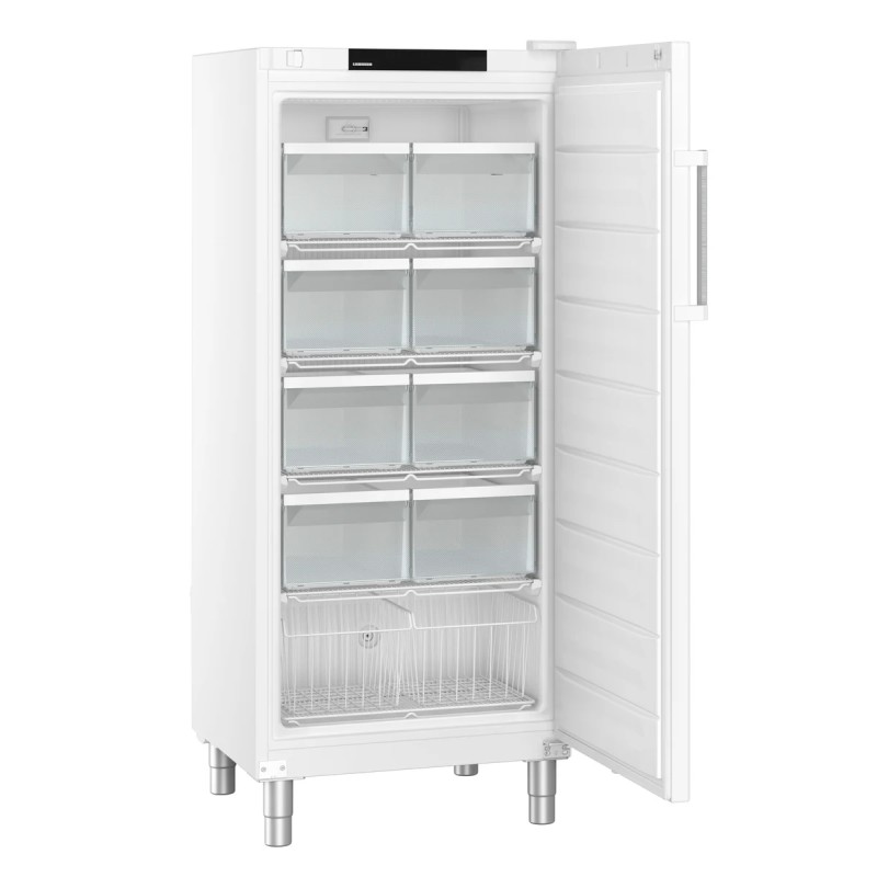 FFFSG 5501 VAR. 740 - LIEBHERR - FFFsg 5501 Performance Congelatore autonomo con SmartFrost