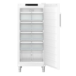 FFFSG 5501 VAR. 740 - LIEBHERR - FFFsg 5501 Performance Congelatore autonomo con SmartFrost