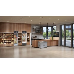 FKDV 4513 - LIEBHERR - Frigorifero ventilato Premium, porta in vetro, Volume: 449 Litri, Modello: FKDV