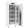 BIOBASIC FREEZER RF600, -25/-5°C, 583LT, 5 RIPIANI, BIANCO
